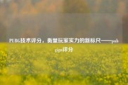 PUBG技术评分，衡量玩家实力的新标尺——pubgign评分