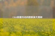CSGO屏幕抖动问题根源大揭秘