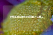 探秘原版王者荣耀虞姬图片之魅力