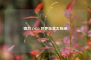 端游 CSGO 其他版本大探秘