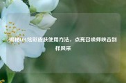 揭秘LOL炫彩皮肤使用方法，点亮召唤师峡谷别样风采
