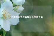 小本开启王者荣耀多人热血之旅