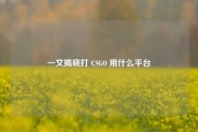 一文揭晓打 CSGO 用什么平台