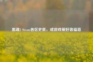 黑魂3 Steam各区史低，成游戏爱好者福音