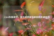 CSGO灰度调节，提升游戏视觉体验的关键技巧