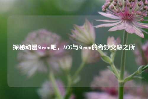 探秘动漫Steam吧，ACG与Steam的奇妙交融之所