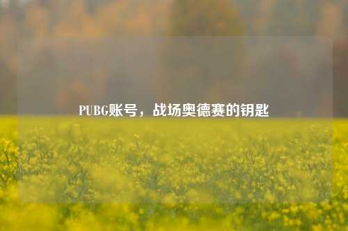 PUBG账号，战场奥德赛的钥匙