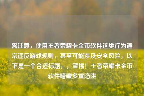 需注意，使用王者荣耀卡金币软件这类行为通常违反游戏规则，甚至可能涉及安全风险，以下是一个合适标题，，警惕！王者荣耀卡金币软件暗藏多重陷阱