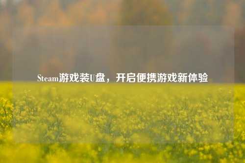 Steam游戏装U盘，开启便携游戏新体验