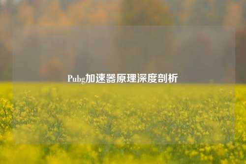 Pubg加速器原理深度剖析