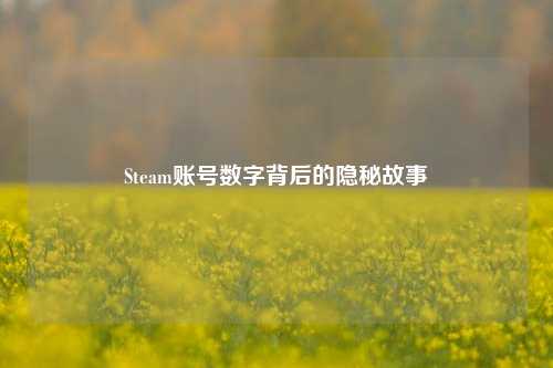 Steam账号数字背后的隐秘故事