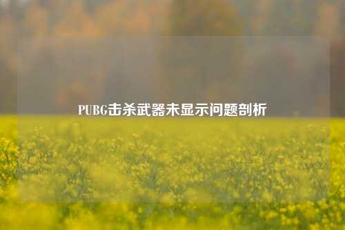 PUBG击杀武器未显示问题剖析