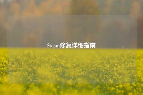 Steam修复详细指南