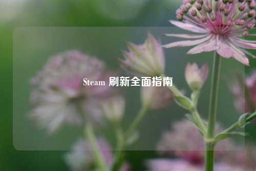 Steam 刷新全面指南