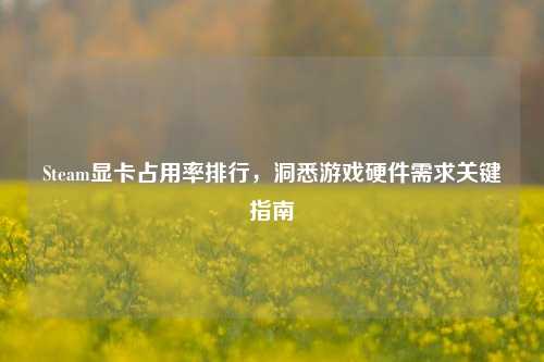 Steam显卡占用率排行，洞悉游戏硬件需求关键指南