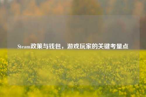 Steam政策与钱包，游戏玩家的关键考量点