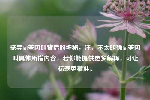 探寻lol荃因叫背后的神秘，注，不太明确lol荃因叫具体所指内容，若你能提供更多解释，可让标题更精准。