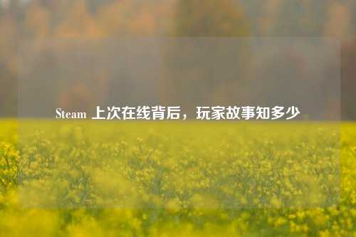 Steam 上次在线背后，玩家故事知多少