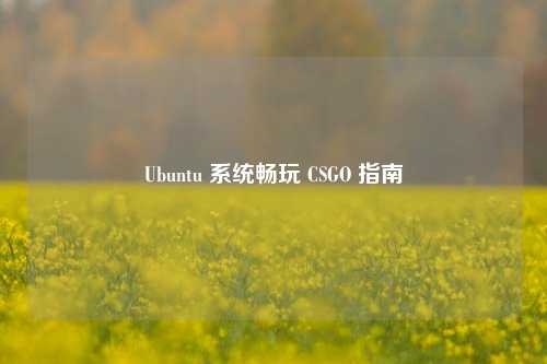 Ubuntu 系统畅玩 CSGO 指南