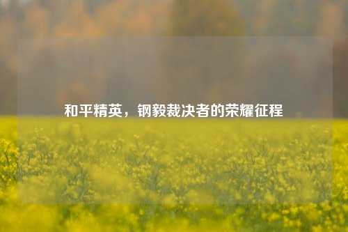 和平精英,钢毅裁决者的荣耀征程