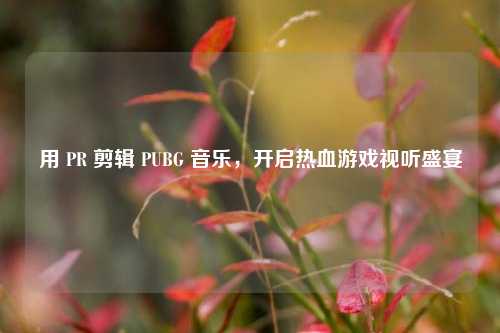用 PR 剪辑 PUBG 音乐,开启热血游戏视听盛宴