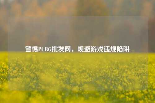 警惕PUBG批发网，规避游戏违规陷阱