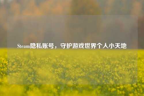 Steam隐私账号，守护游戏世界个人小天地