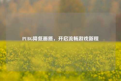 PUBG降低画质,开启流畅游戏新程
