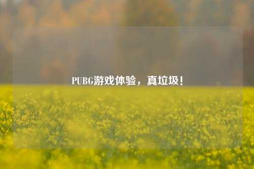 PUBG游戏体验，真垃圾！