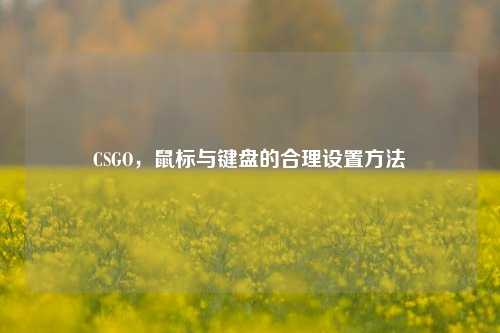 CSGO，鼠标与键盘的合理设置方法