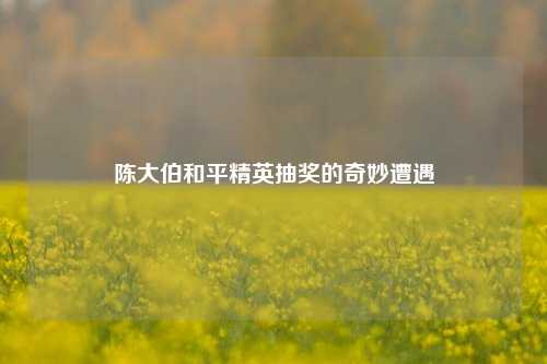 陈大伯和平精英抽奖的奇妙遭遇