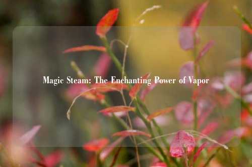 Magic Steam: The Enchanting Power of Vapor