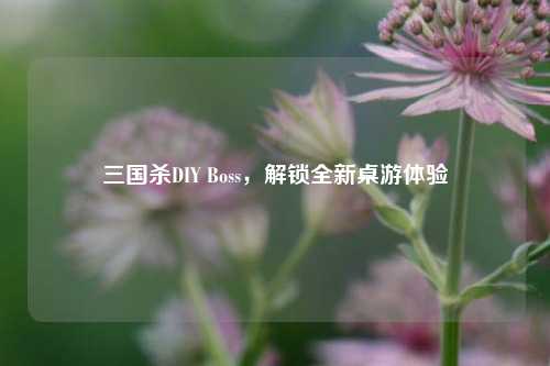 三国杀DIY Boss，解锁全新桌游体验