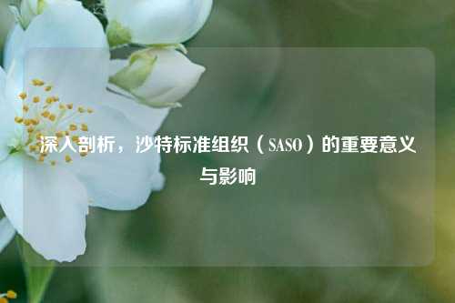 深入剖析，沙特标准组织（SASO）的重要意义与影响