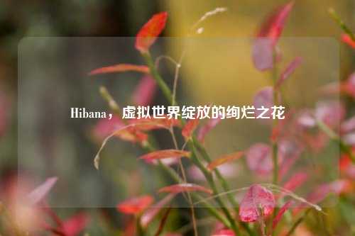 Hibana，虚拟世界绽放的绚烂之花