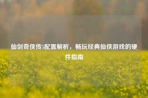 仙剑奇侠传5配置解析，畅玩经典仙侠游戏的硬件指南