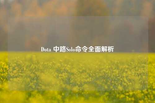 Dota 中路Solo命令全面解析