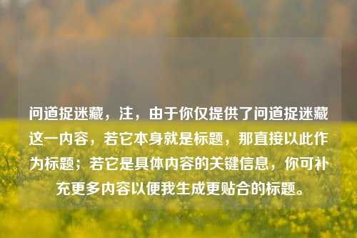 问道捉迷藏，注，由于你仅提供了问道捉迷藏这一内容，若它本身就是标题，那直接以此作为标题；若它是具体内容的关键信息，你可补充更多内容以便我生成更贴合的标题。