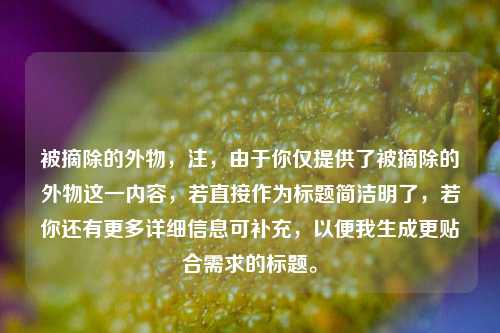 被摘除的外物，注，由于你仅提供了被摘除的外物这一内容，若直接作为标题简洁明了，若你还有更多详细信息可补充，以便我生成更贴合需求的标题。
