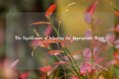 The Significance of Selecting the Appropriate Major