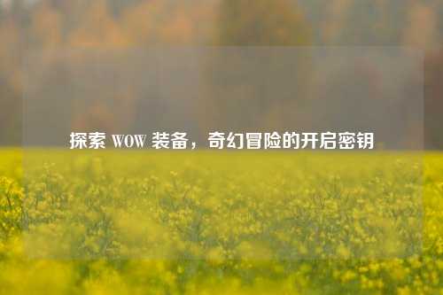 探索 WOW 装备，奇幻冒险的开启密钥