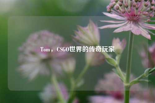 Tom，CSGO世界的传奇玩家