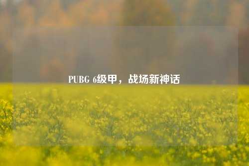 PUBG 6级甲，战场新神话
