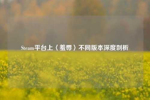 Steam平台上〈羞辱〉不同版本深度剖析