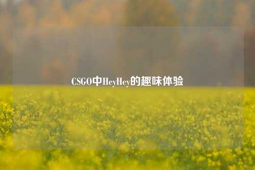 CSGO中HeyHey的趣味体验
