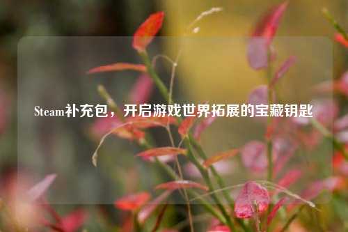 Steam补充包，开启游戏世界拓展的宝藏钥匙