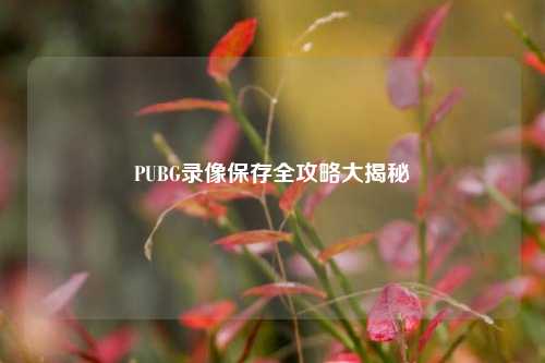 PUBG录像保存全攻略大揭秘