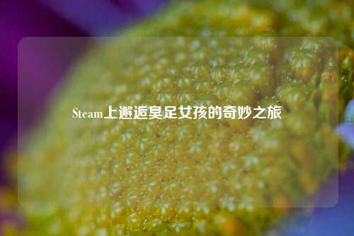 Steam上邂逅臭足女孩的奇妙之旅