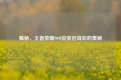 揭秘，王者荣耀90M安装包背后的奥秘