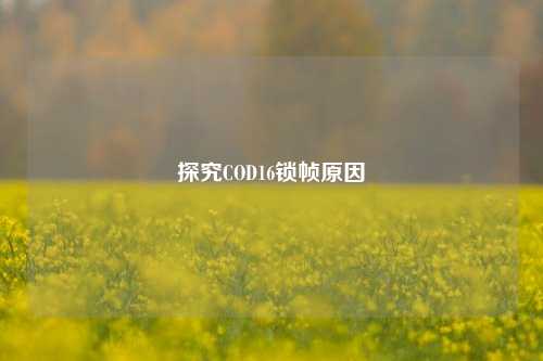 探究COD16锁帧原因